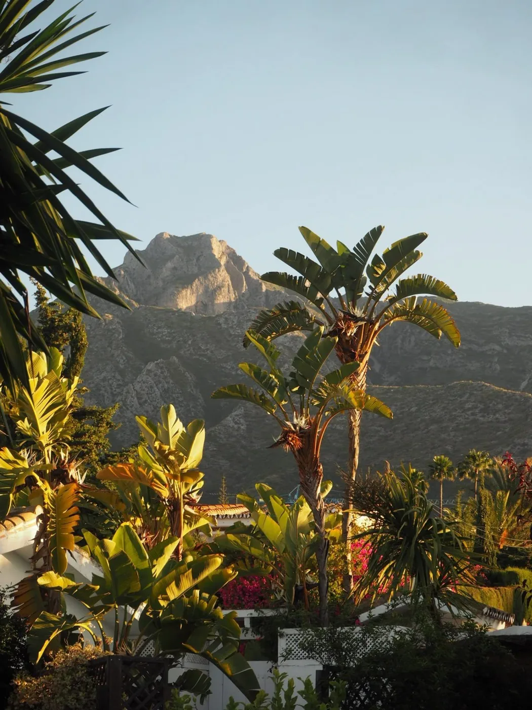A tropical garden below the mountains above Marbella