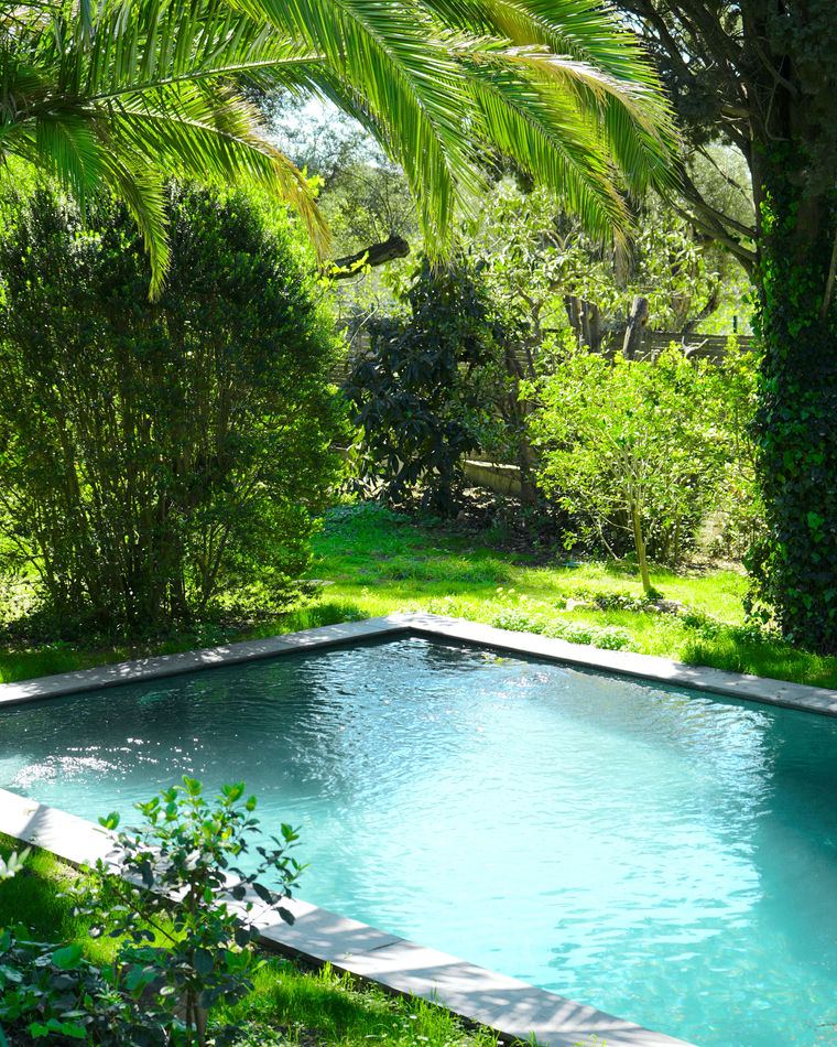 The pool among palms